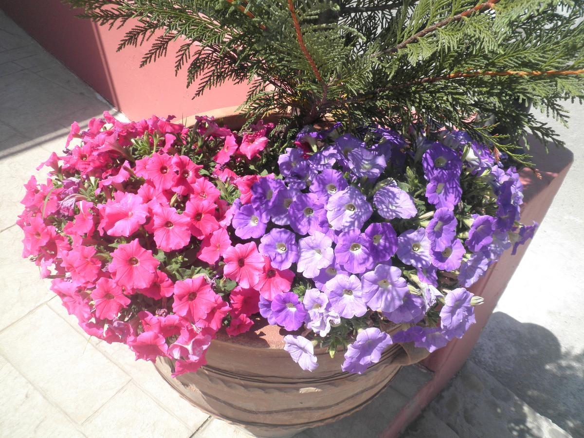 Haridimos Apartments Tavronitis Екстериор снимка